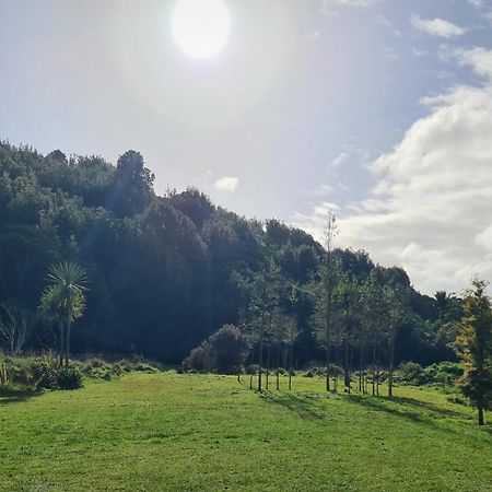 Tiny Home @ Matai Huka Paraparaumu Dış mekan fotoğraf