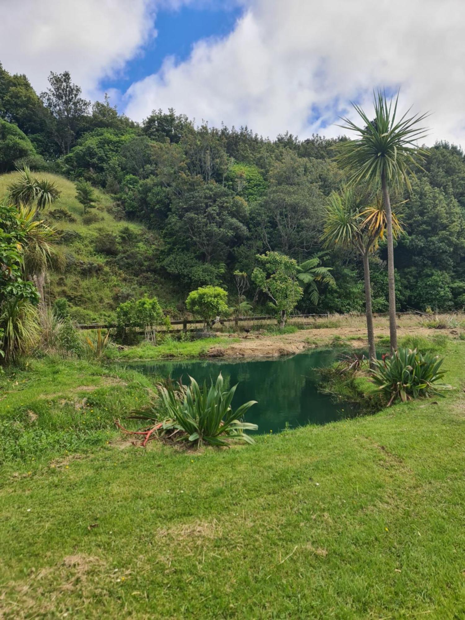 Tiny Home @ Matai Huka Paraparaumu Dış mekan fotoğraf